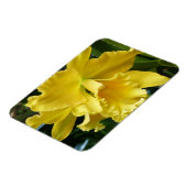 Yellow Orchid Magnet (Linke Seite)