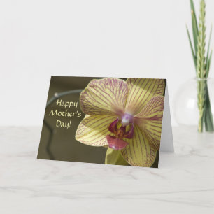 Yellow Orchid Mothers Day Karte