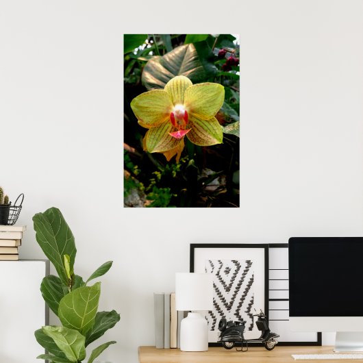 Yellow Orchid Poster (Heimbüro)