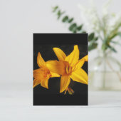 Yellow Orchid Postkarte (Stehend Vorderseite)