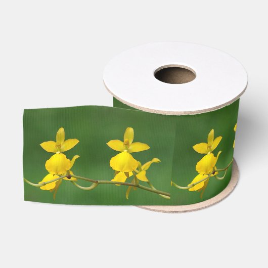 Yellow Orchid Ribbon Ripsband (Spule)