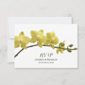 Yellow Orchid Wedding Reply Card RSVP Karte (Rückseite)