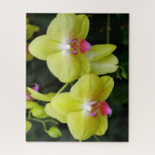 Yellow Orchids Jigsaw Puzzle (Vertikal)