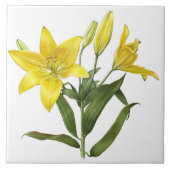 Yellow Oriental Lilie Blume Botanische Kunst Fliese (Vorderseite)