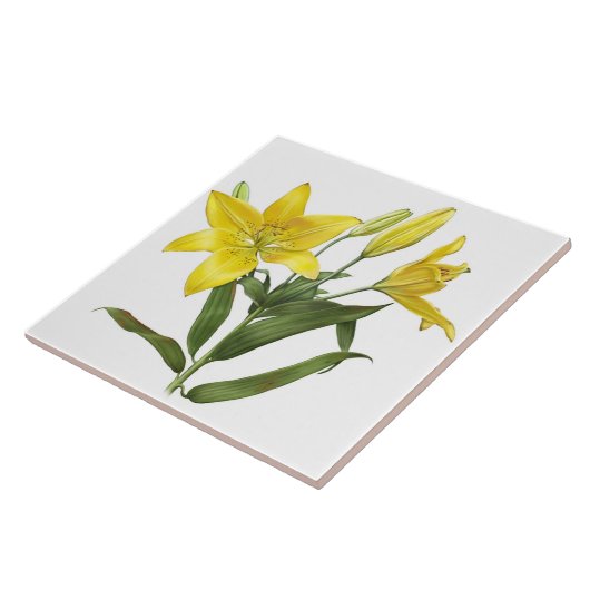 Yellow Oriental Lilie Blume Botanische Kunst Fliese (Seite)