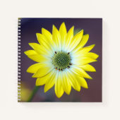 Yellow Osteopermum Journal-Notebook Notizblock (Vorderseite)