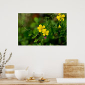 Yellow Oxalis & Everlasting Peer Wildblumen Poster (Küche)