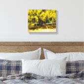 Yellow Palo Verde Tree Leinwanddruck (Insitu (Schlafzimmer))