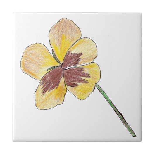 Yellow Pansy Fliese (Vorderseite)