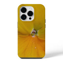 Yellow Pansy