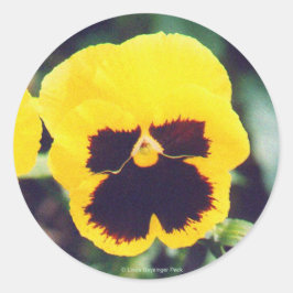 Yellow Pansy Runder Aufkleber