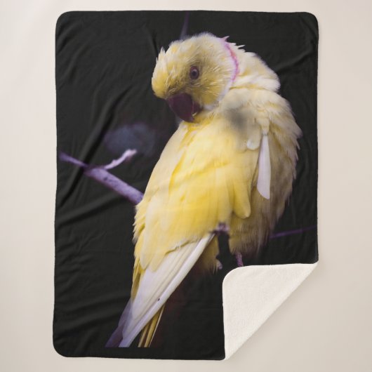 YELLOW PARAKEET SHERPADECKE (Vorderseite)