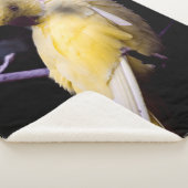 YELLOW PARAKEET SHERPADECKE (3/4)