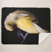 YELLOW PARAKEET SHERPADECKE (Vorderseite (Horizontal))