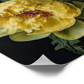 Yellow Peongs Blume Art Print Poster (Ecke)