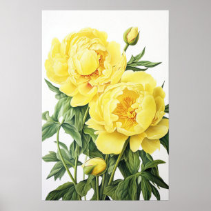 Yellow Peongs Blume Art Print Poster