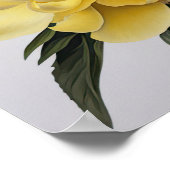 Yellow Peongs Blume Art Print Poster (Ecke)