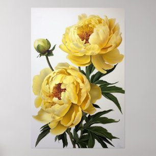 Yellow Peongs Blume Art Print Poster
