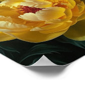 Yellow Peongs Blume Art Print Poster (Ecke)