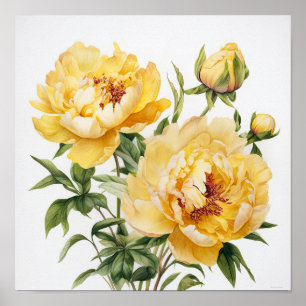 Yellow Peongs Blume Art Print Poster