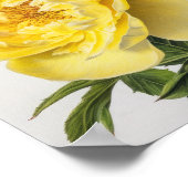 Yellow Peongs Blume Art Print Poster (Ecke)