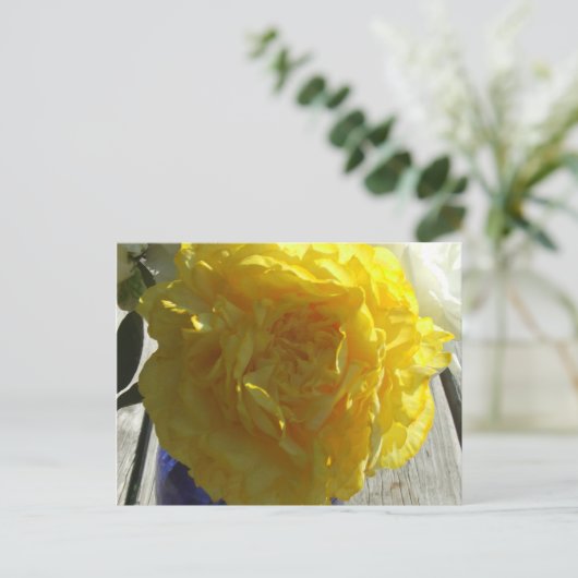 Yellow Peonies Postkarte (Stehend Vorderseite)