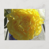 Yellow Peonies Postkarte (Vorderseite)