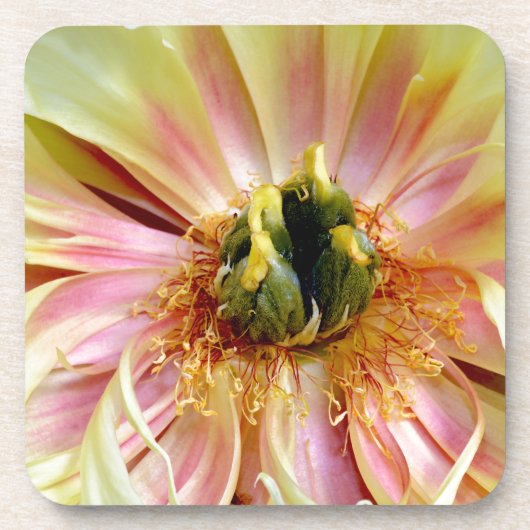 Yellow Peony.jpg Untersetzer (Vorderseite)