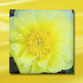 Yellow Peony Magnet