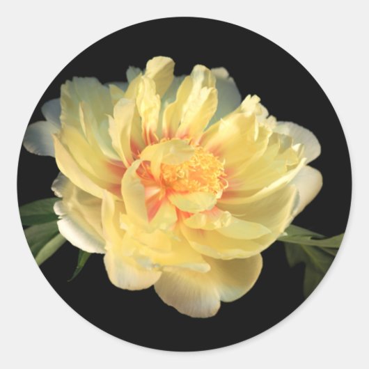 Yellow Peony Wedding Umschlag Aufkleber Stickers (Vorderseite)