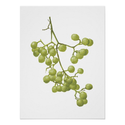 Yellow peppercorns - Botanical Study 1 Poster (Vorderseite)