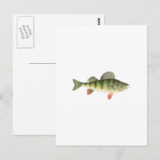 Yellow Perle Art Postkarte (Vorne/Hinten)