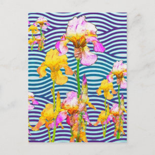 Yellow-Pink Iris Water Garden Postkarte