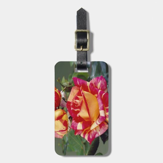 Yellow Pink Roses - Gepäck Gepäckanhänger (Vorderseite vertikal)