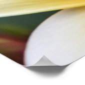 Yellow Plumeria Blume Frangipani Floral Design Poster (Ecke)