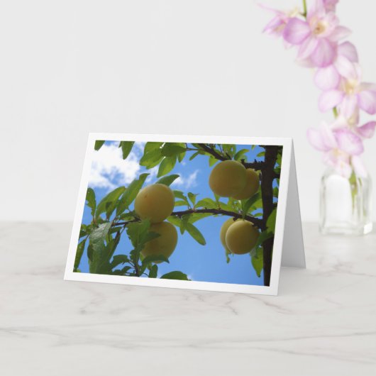 Yellow Plums Blue Sky Karte (Orchidee)