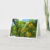 Yellow Plums Blue Sky Karte (Vorderseite)