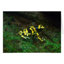 Yellow Poison Dart Frosch-Karte