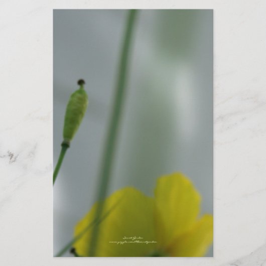 Yellow Poppies shade 12 Personalisierbare Statione Briefpapier (Vorderseite)