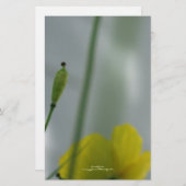 Yellow Poppies shade 12 Personalisierbare Statione Briefpapier (Vorne/Hinten)
