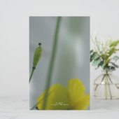 Yellow Poppies shade 12 Personalisierbare Statione Briefpapier (Stehend Vorderseite)