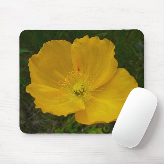 Yellow Poppy Alaskan Wildblume Floral Mousepad (Mit Mouse)