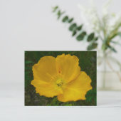 Yellow Poppy Alaskan Wildblume Floral Postkarte (Stehend Vorderseite)