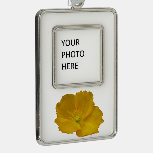 Yellow Poppy Alaskan Wildblume Floral Rahmen-Ornament Silber (Rechts)