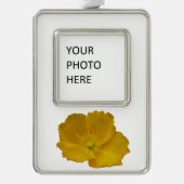 Yellow Poppy Alaskan Wildblume Floral Rahmen-Ornament Silber (Vorderseite)