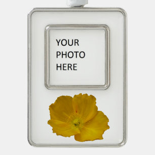 Yellow Poppy Alaskan Wildblume Floral Rahmen-Ornament Silber