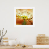 Yellow Poppy Blume Poster (Küche)