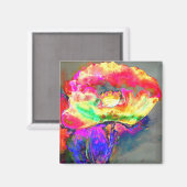 Yellow Poppy Magnet (Vorderseite/Rückseite)