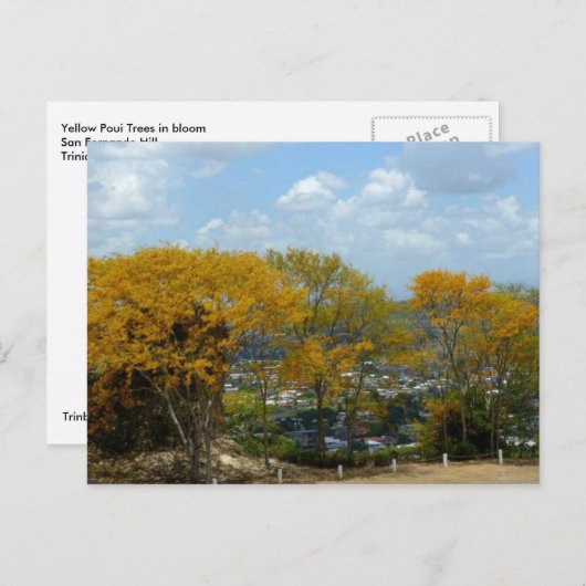 Yellow Poui Trees on San Fernando Hill Postkarte (Vorne/Hinten)
