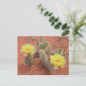 Yellow Prickley Pear Postkarte (Stehend Vorderseite)